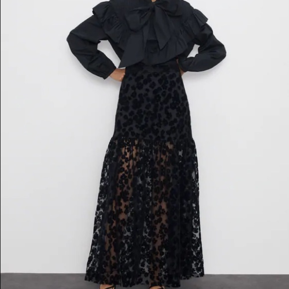 Zara Embroidered Floral Maxi Skirt